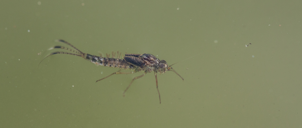 2013.07.31 17-41-22 4862.jpg