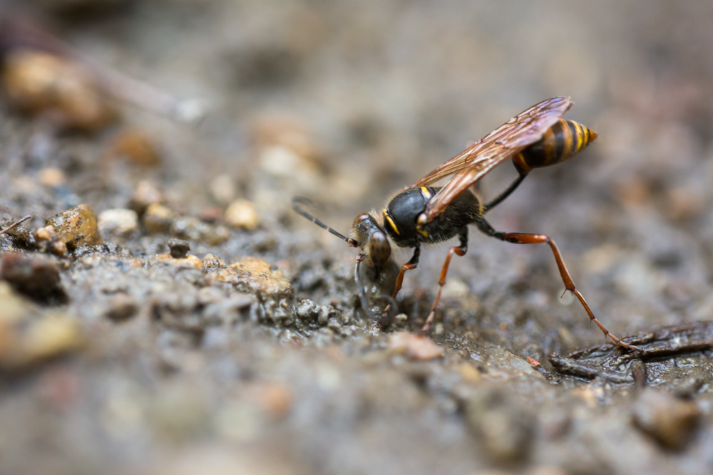20130803-IMG_2465.jpg