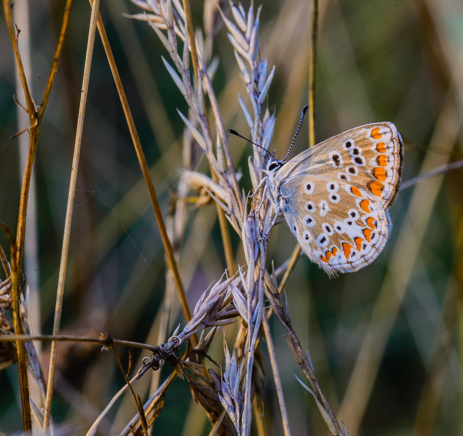 20130804-_AAD8208-3.jpg