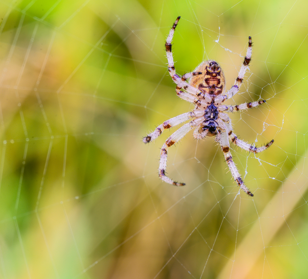 20130804-_AAD8141-3.jpg