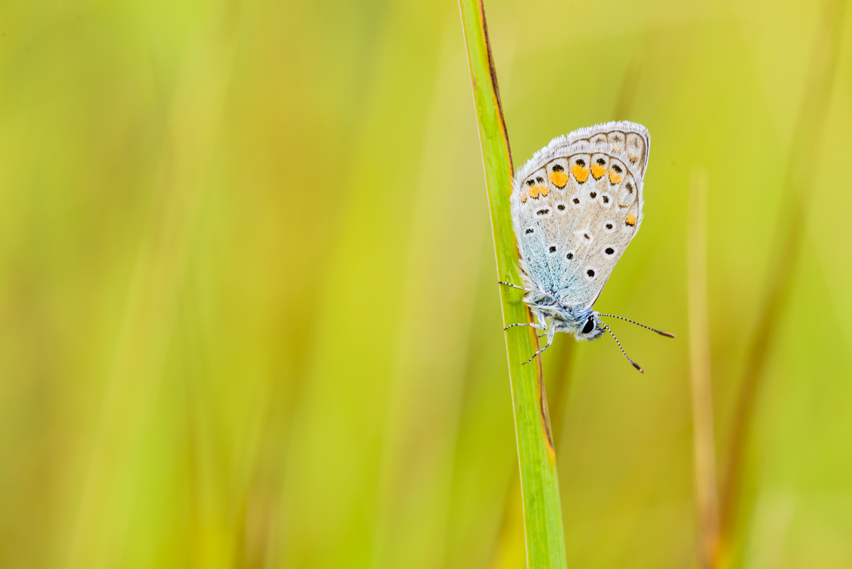 20130807-_AAD8450-4.jpg