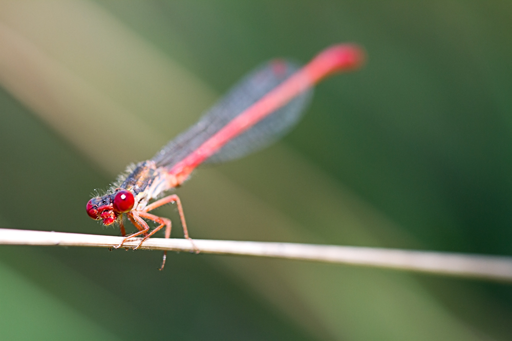 D7__9442_bearbeitet-1.jpg