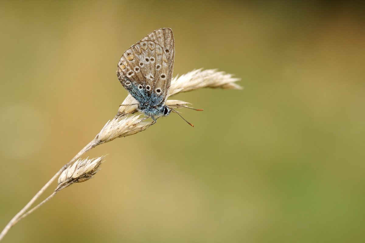 _DSC3406_klein.jpg