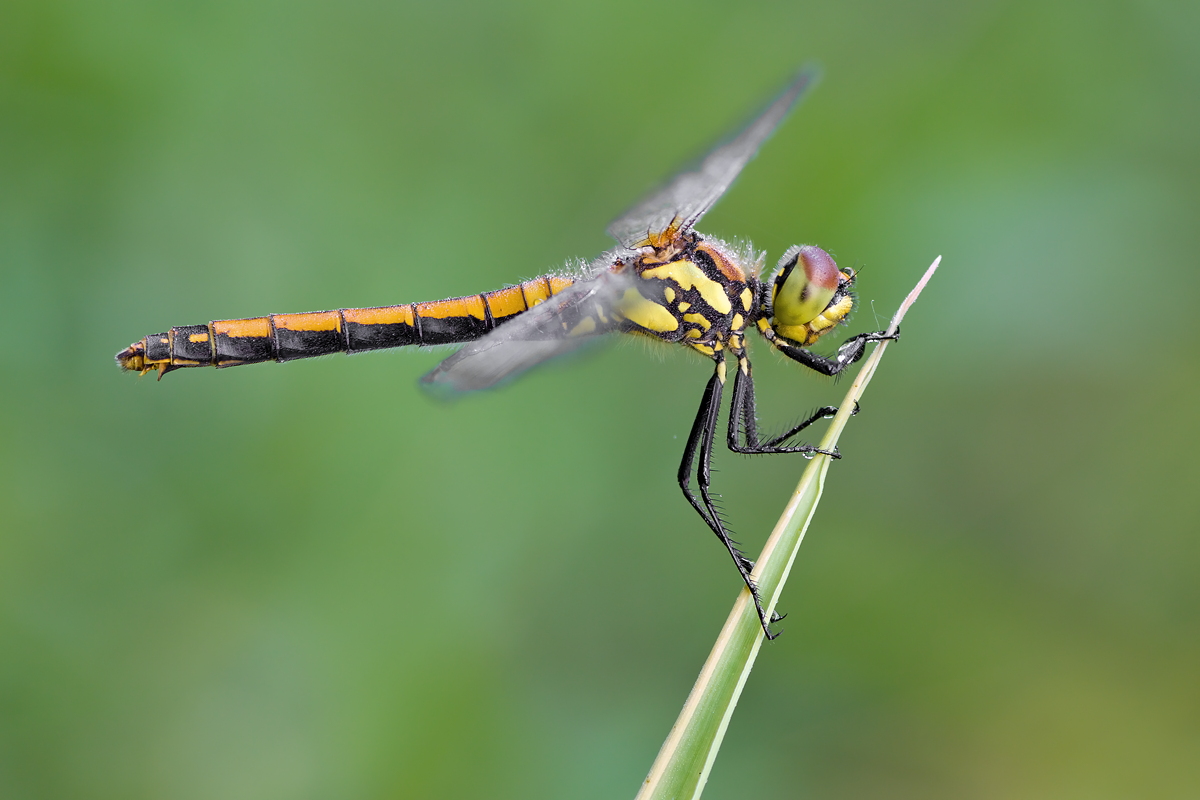 08-07-2013-8016.JPG