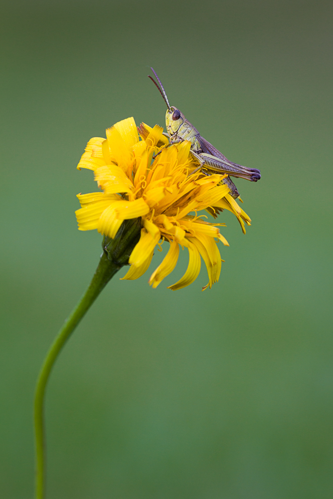 20130829-IMG_7358-2.jpg