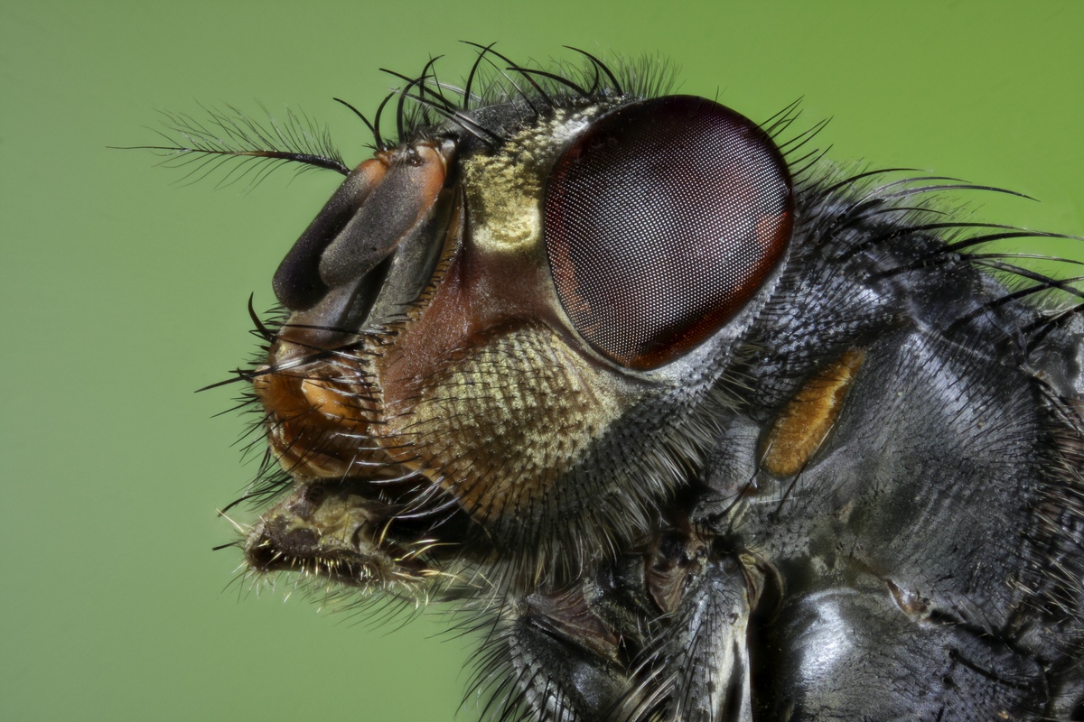 comp_2013-10-25-17.56.18 ZS PMax-Bearbeitet_neu.jpg