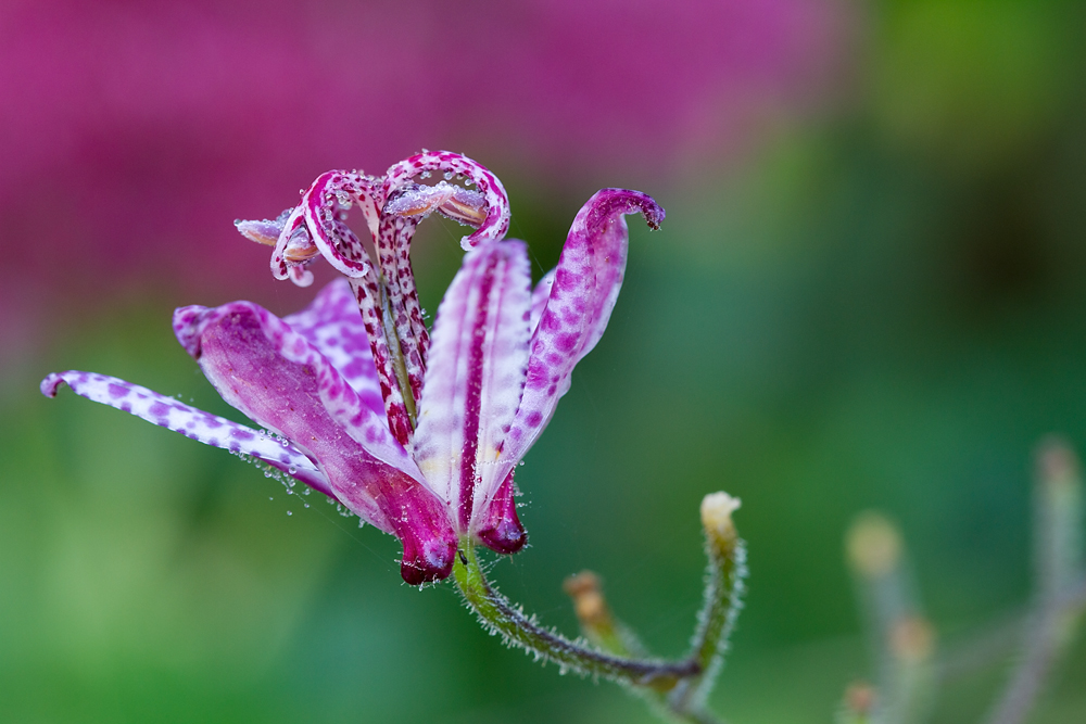 D7_10296.jpg