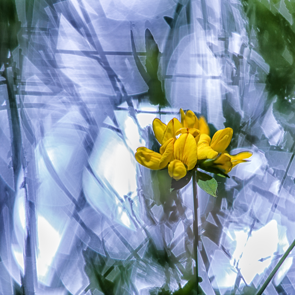 20110709_2281-9.jpg