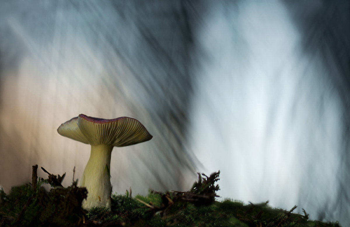 Licht und Farbe_bearbeitet-1.jpg
