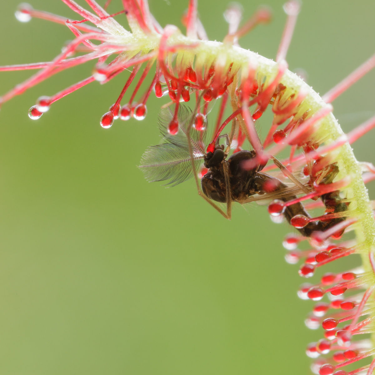 20130614_0079-30.jpg