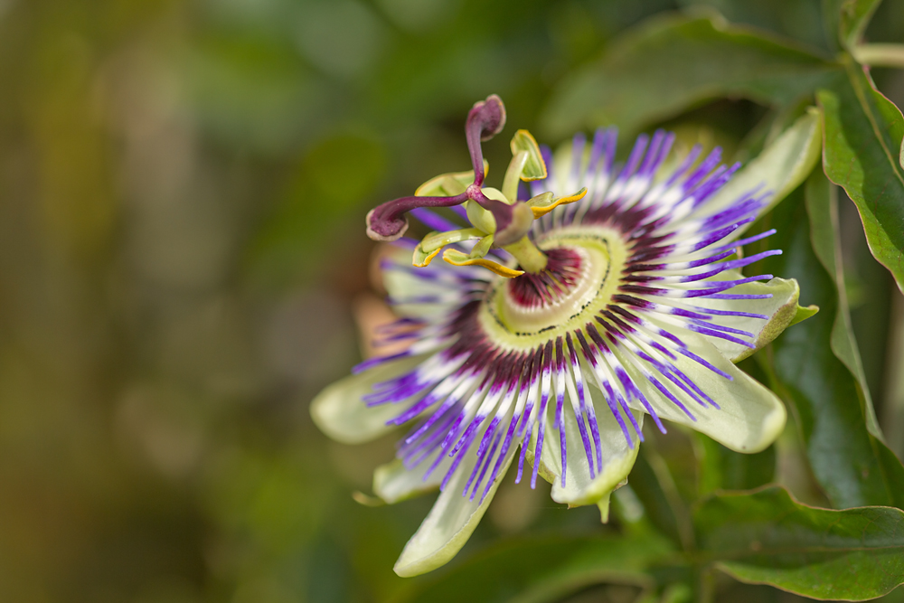 D7_10343.jpg
