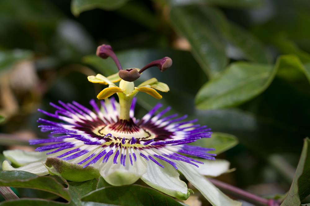 D7_10332.jpg