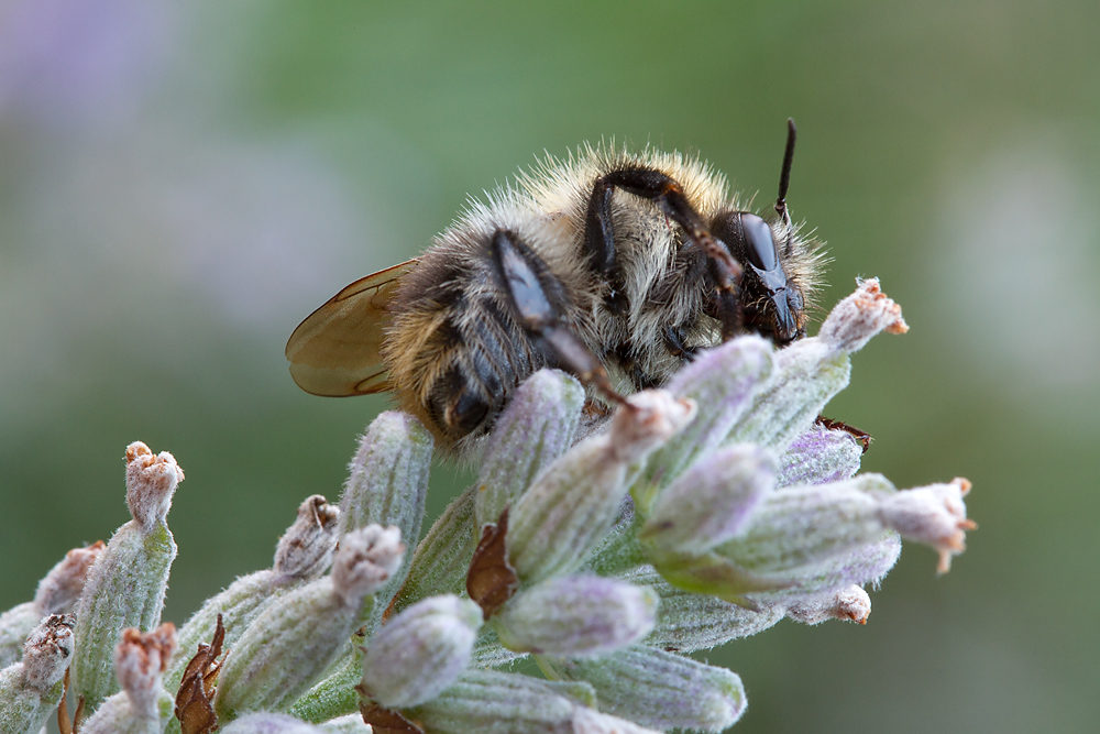 D7__9645.jpg