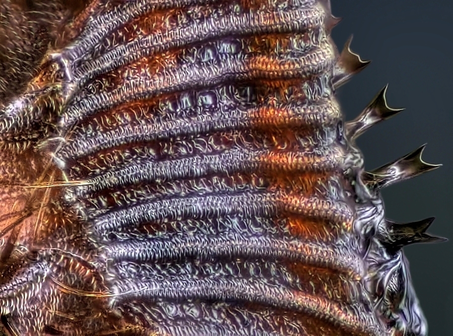 2013-12-24-16.14.50 ZS retouched_2.jpg