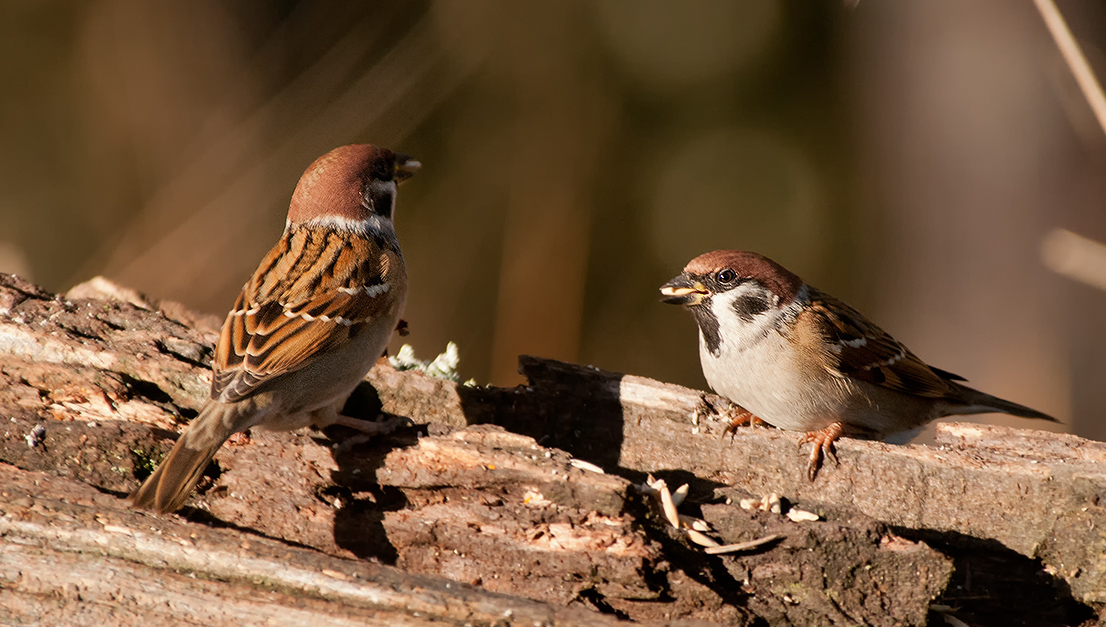 DSC_9484.jpg