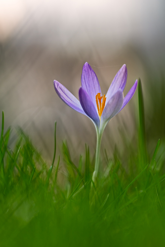 20140207-_2070019-Bearbeitet.jpg