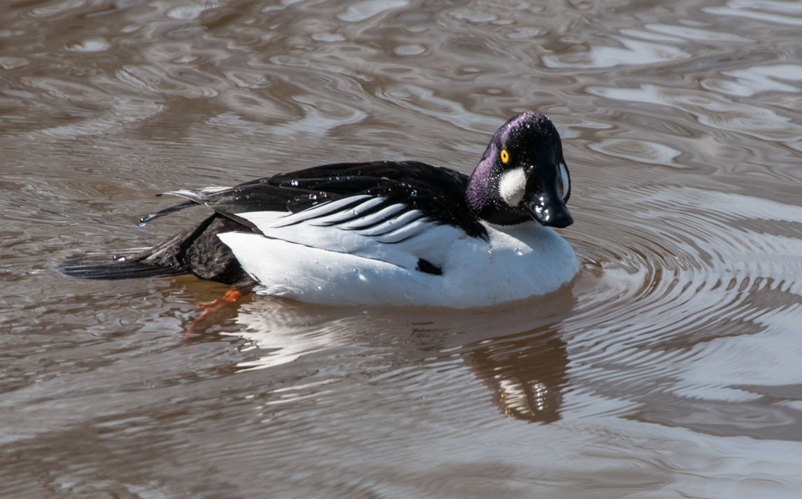 DSC_6048xxx4.jpg