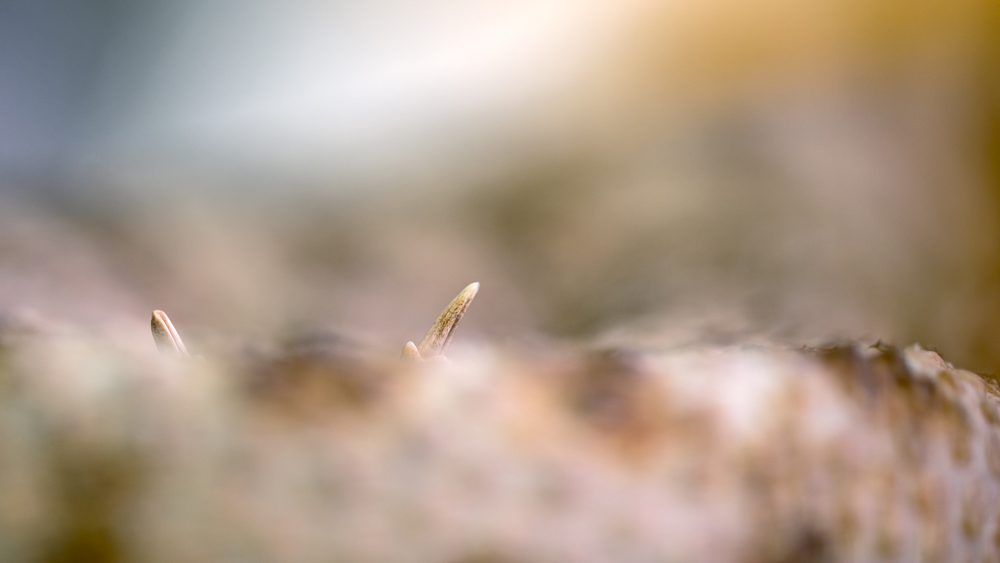 20140215-_2150026-Bearbeitet.jpg