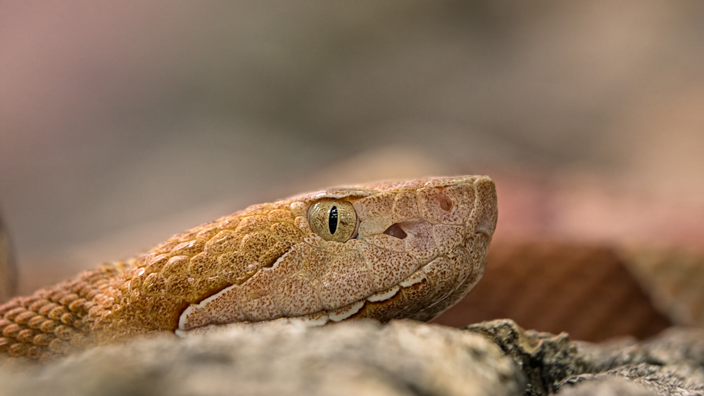 20140215-_2150083-Bearbeitet.jpg