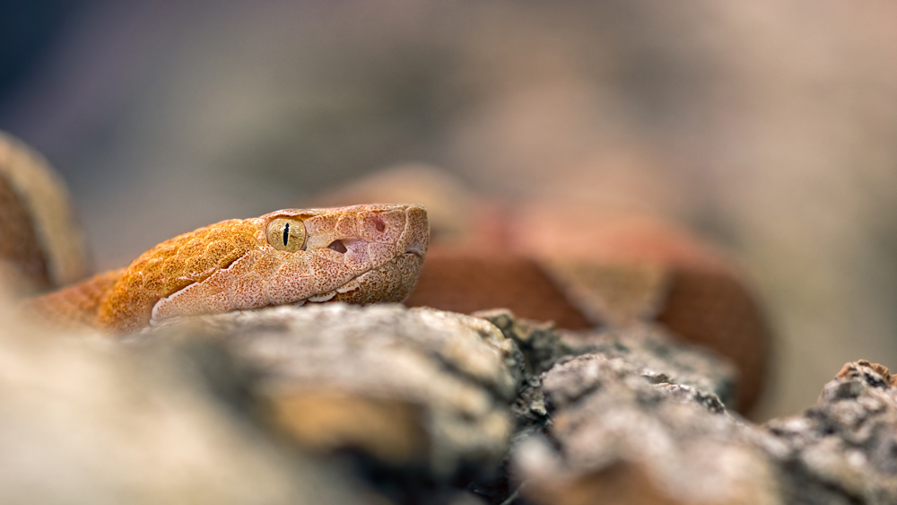 20140215-_2150074-Bearbeitet.jpg