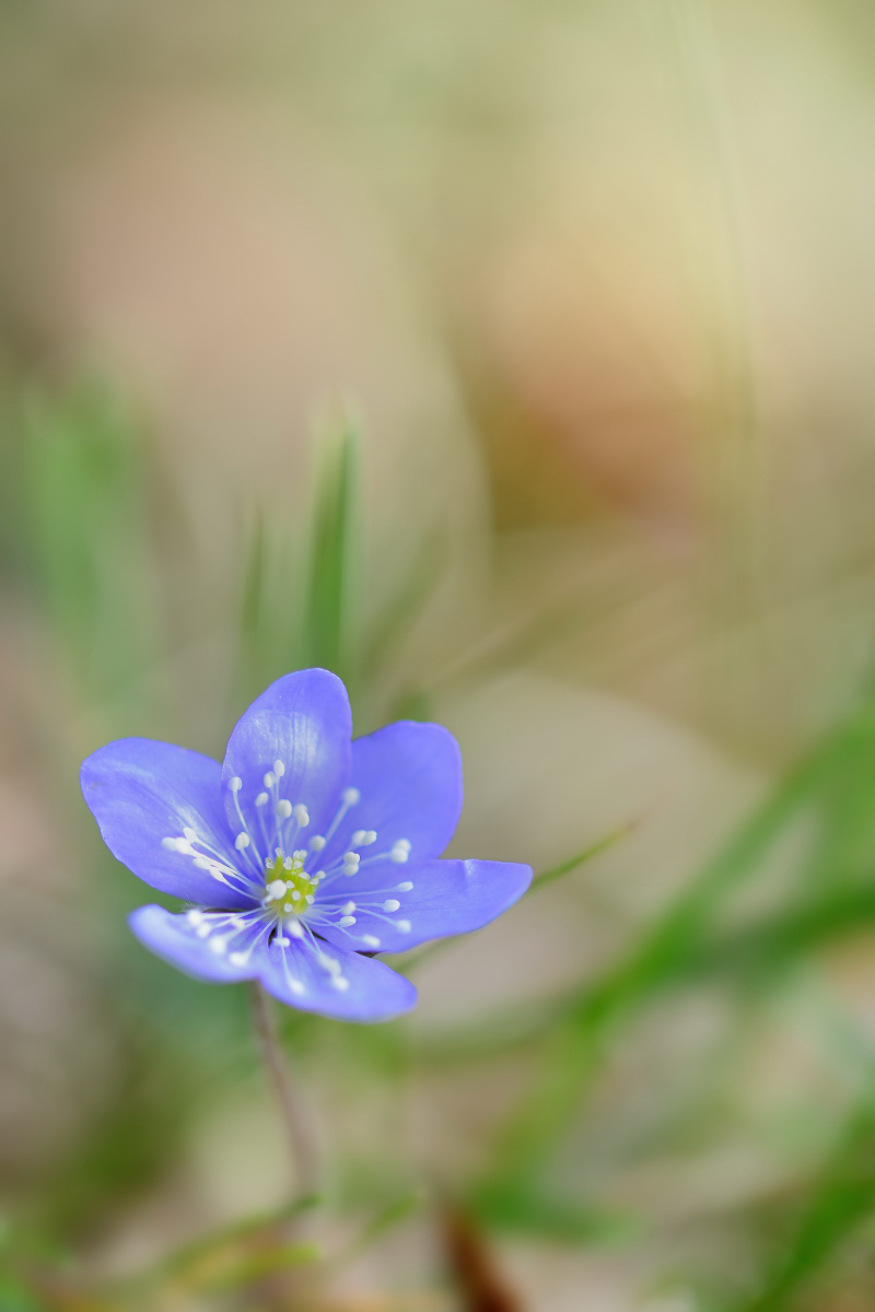 GW8LB_0930_20140225_1435klein.JPG
