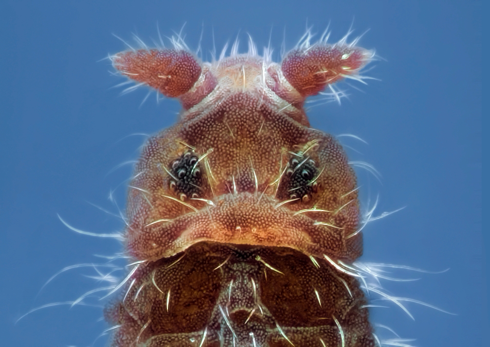 2014-02-27-17.59.03 ZS PMax_2.jpg
