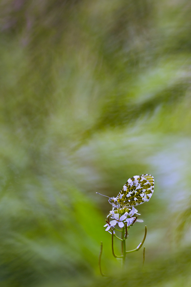557B7753-2.jpg