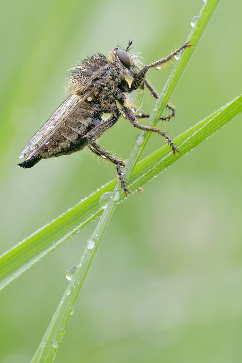 DSC_4858a.jpg