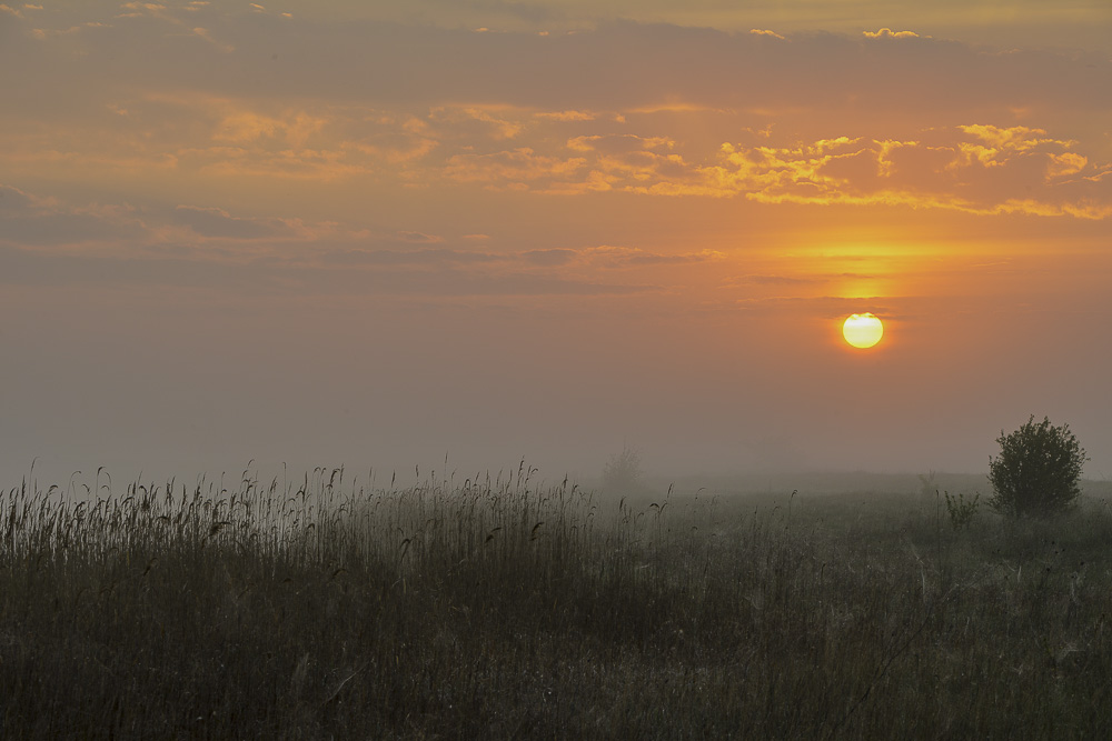 Sonnenaufgang mit Nebel.jpg