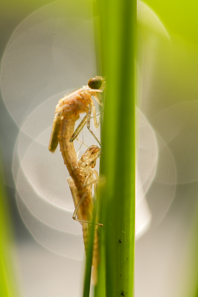 20140426_0016-24-Kopie.jpg