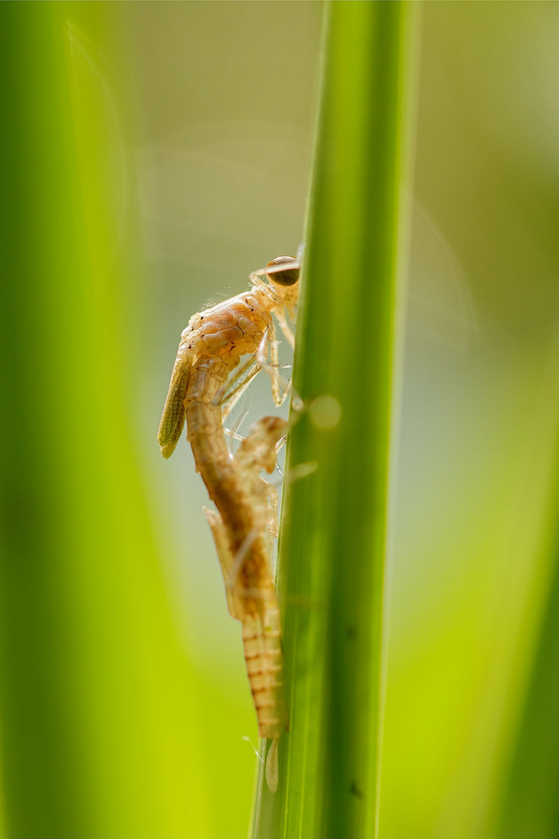 20140426_0007-23-Kopie.jpg