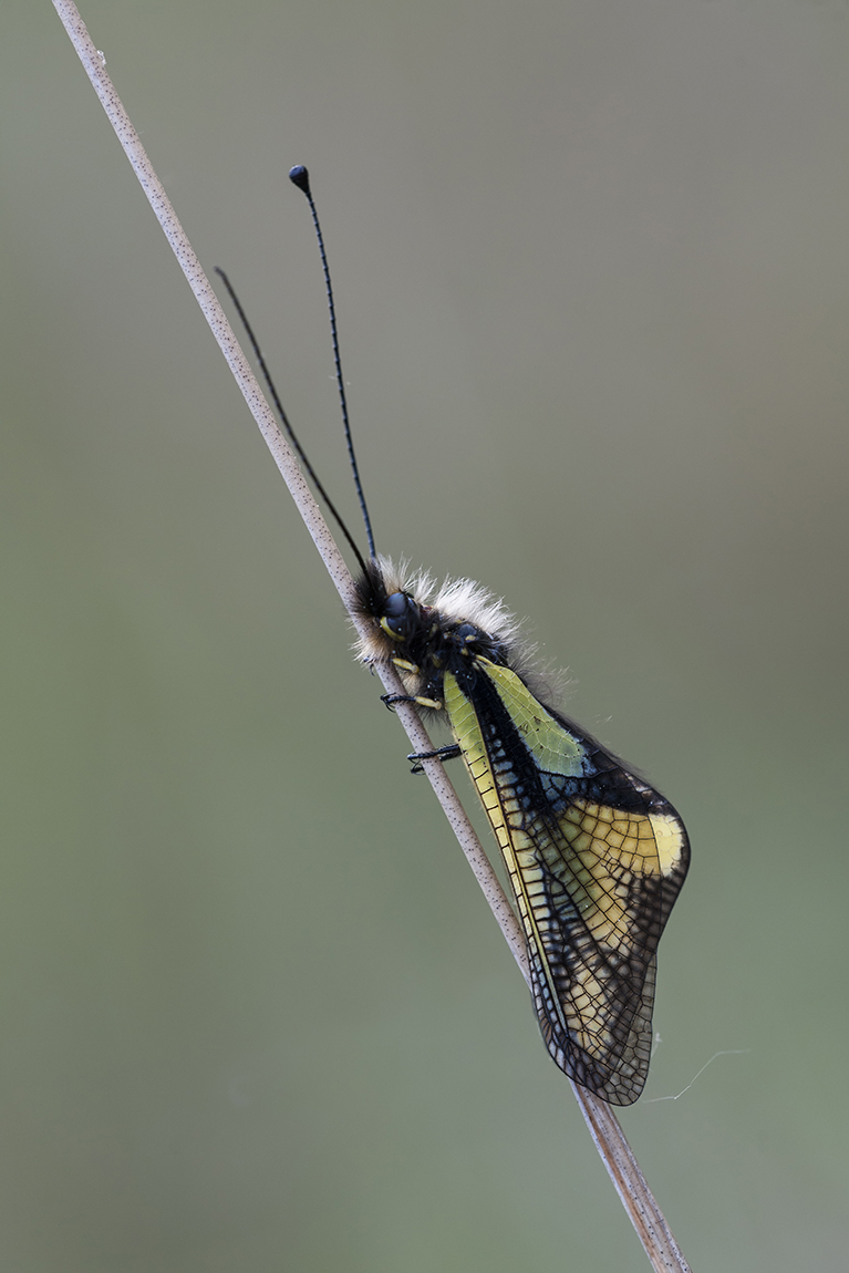 _DSC0589_MF.jpg
