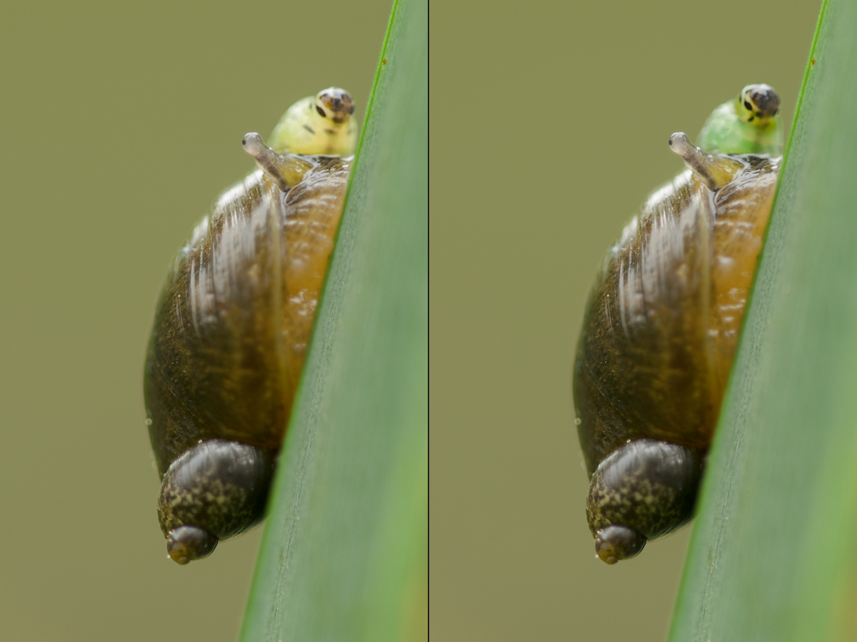 ULiULi_D5100_8969+8970_1200x900_lr54+pspx6.jpg