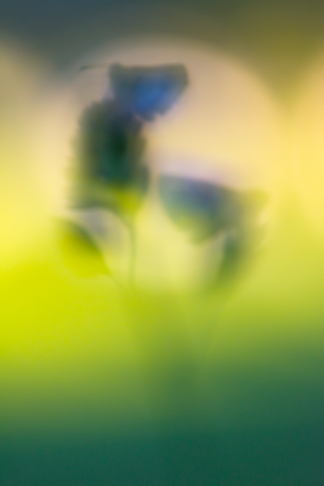 20140518_9022.jpg