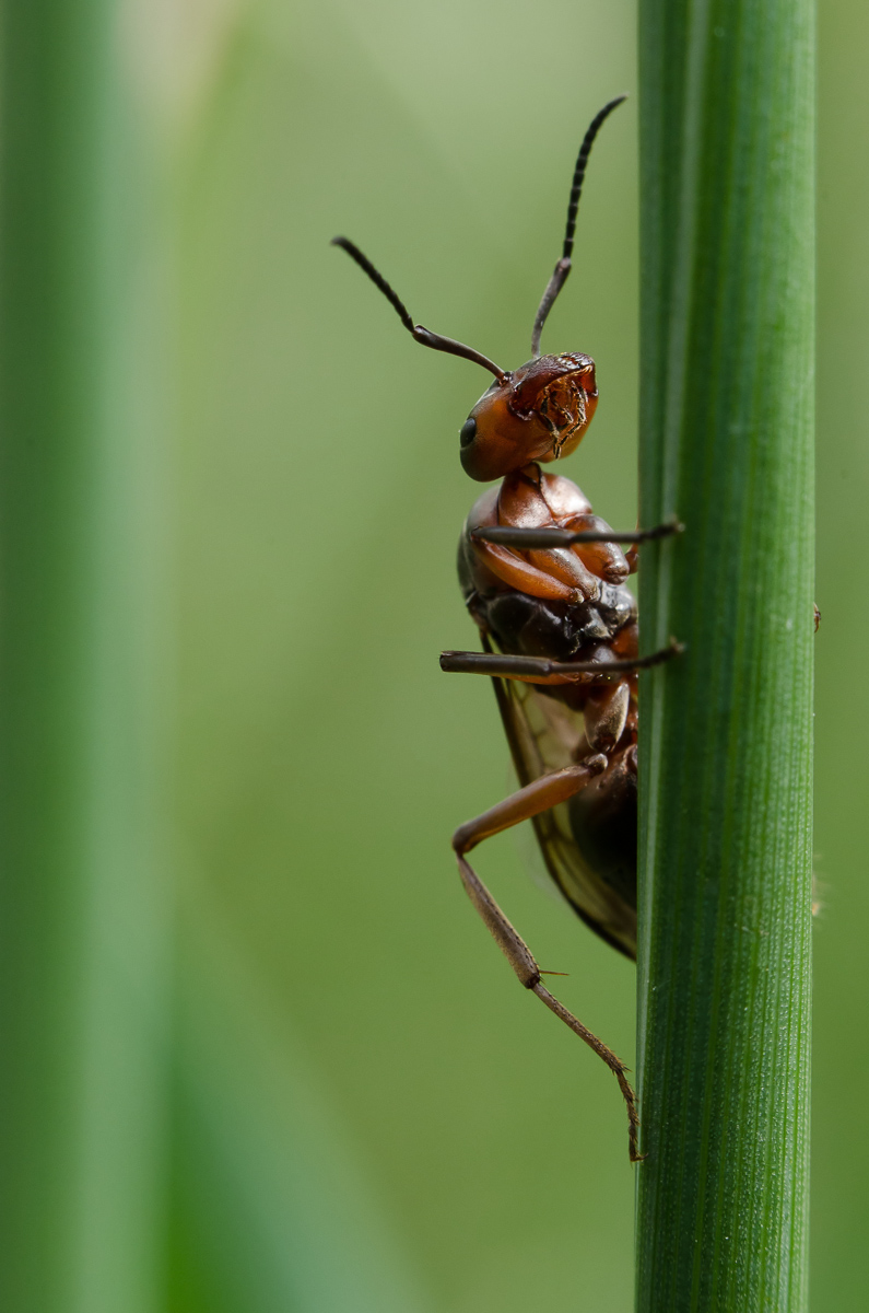 DSC_0041-4_filtered-1203.JPG