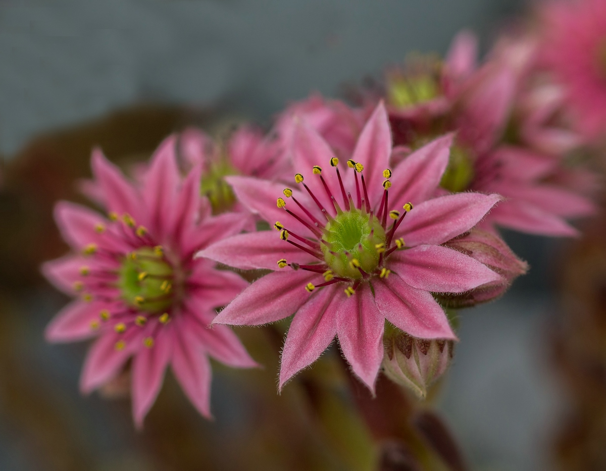 comp_DSC051411.jpg