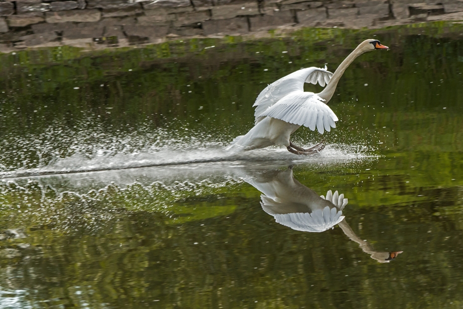 20140415_27_bearbeitet-2.jpg