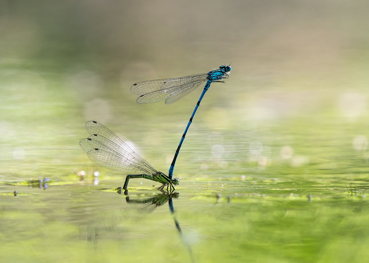 neueGeneration (1 von 1).jpg