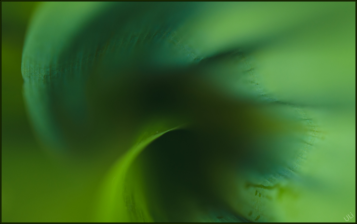 ULiULi_8536_1200x752.jpg
