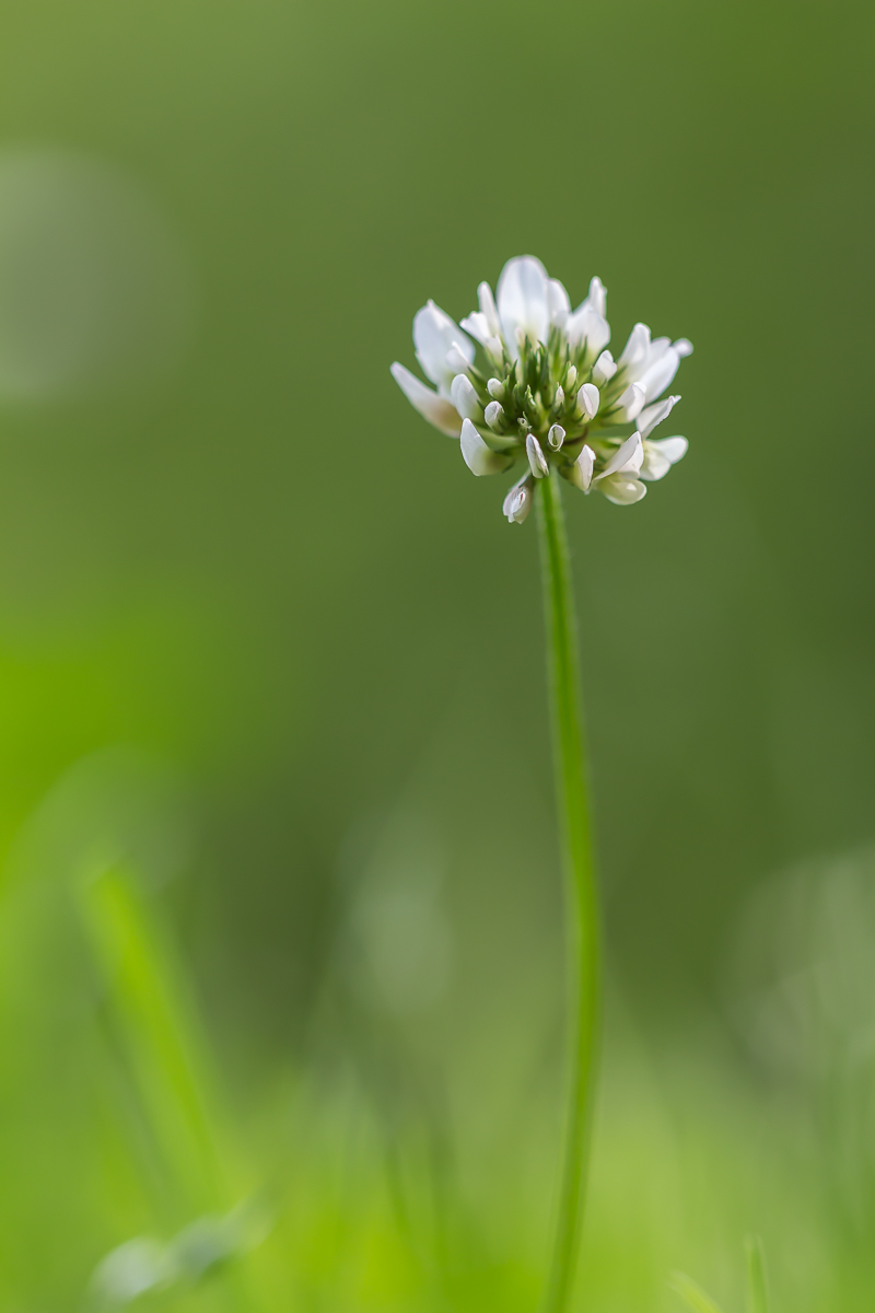 Brook 5.7.2014-1.jpg