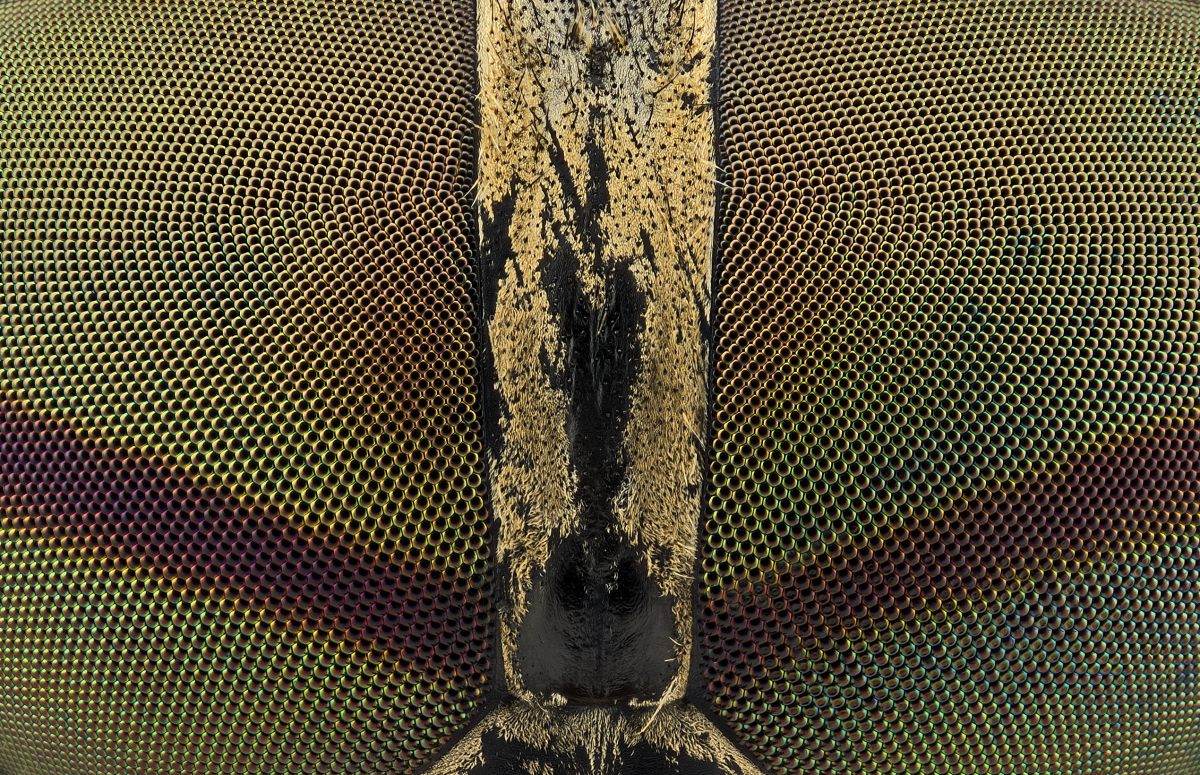 03203_99_Zuschnitt_04.JPG