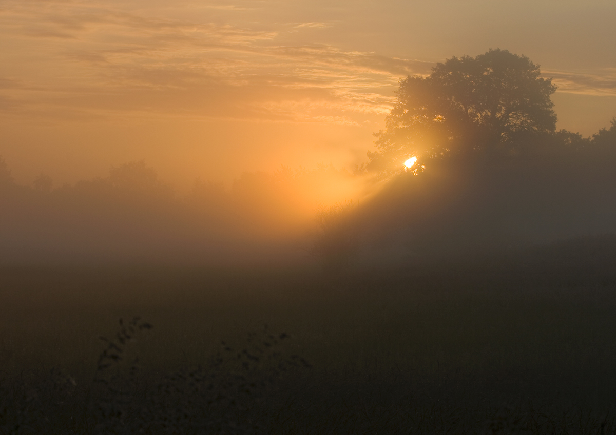 _MG_2585_1.jpg