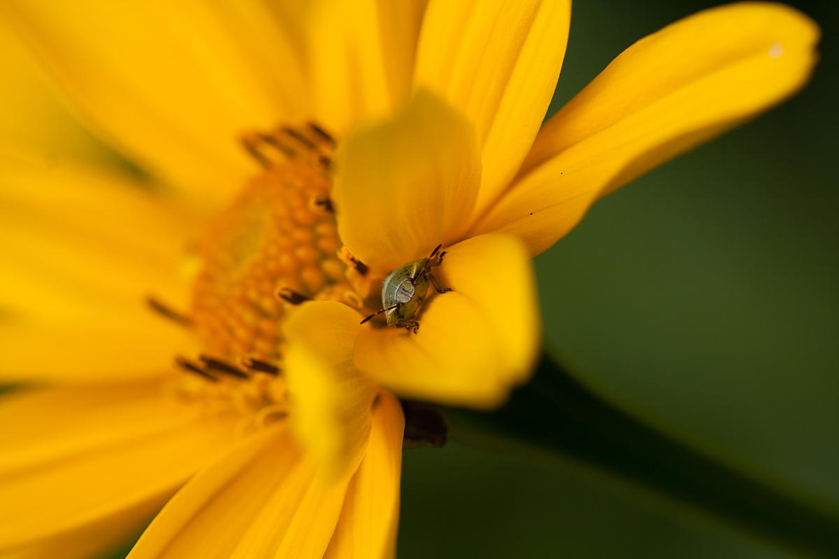 _MG_5139.jpg