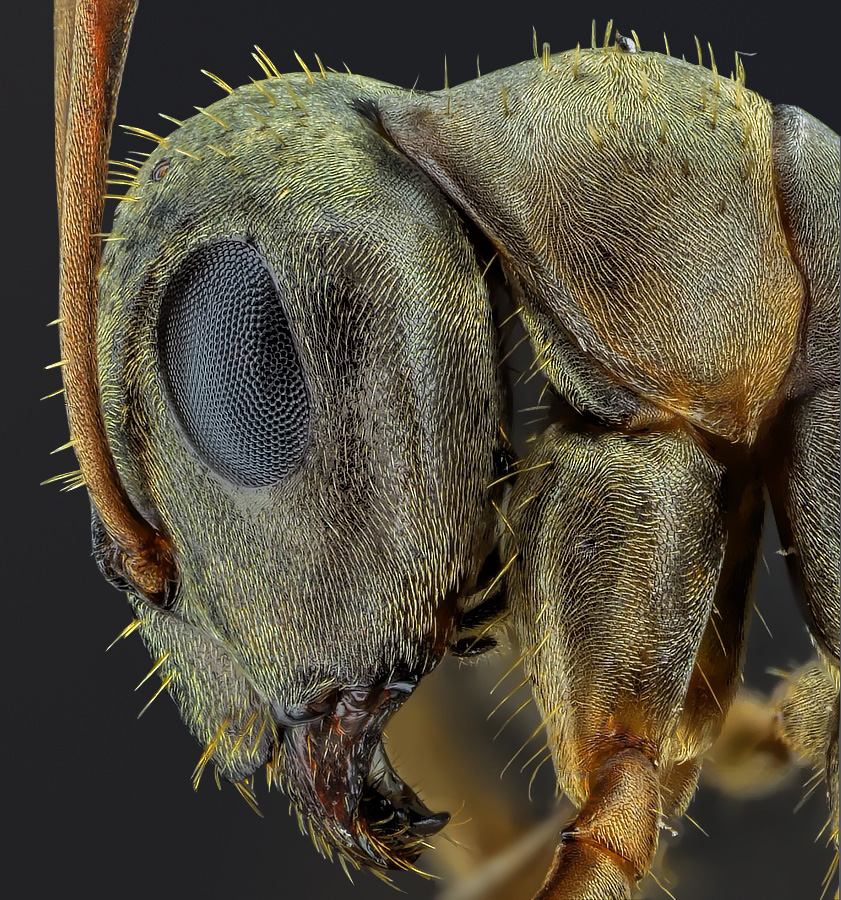 2014-07-28-14.39.40 ZS retouched_4.jpg