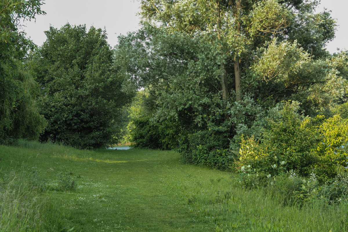 P6016834-Bearbeitet.jpg