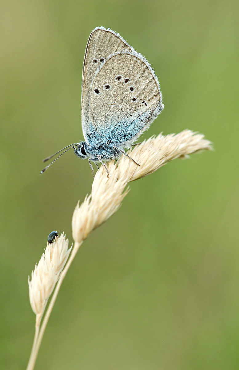 _MG_4946-Bearbeitet-Bearbeitet Kopie.jpg