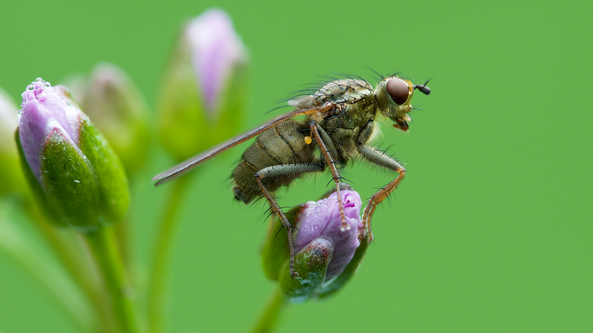 P4120020_.jpg