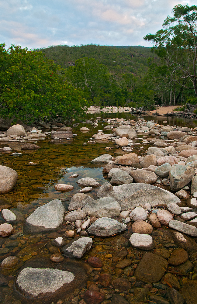 DSC_1391-1.jpg