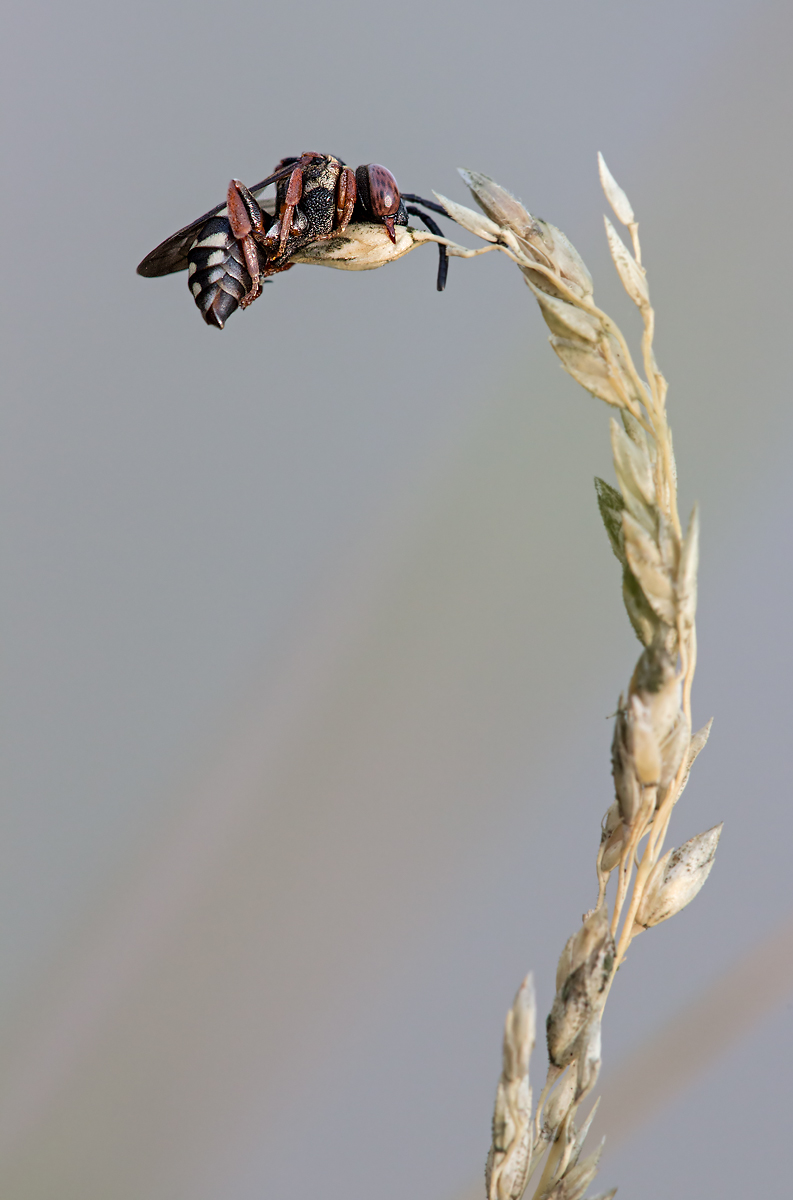_MG_6997-Bearbeitet Kopie.jpg