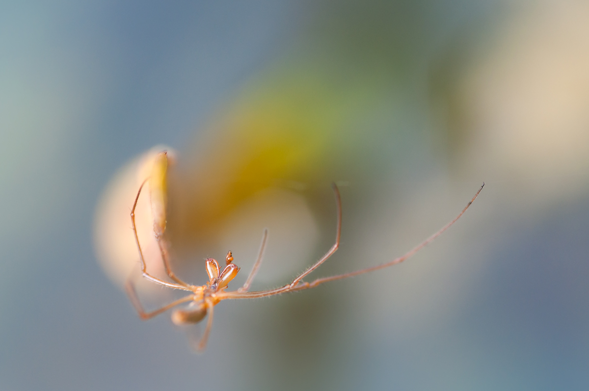 DSC_0262-b.jpg